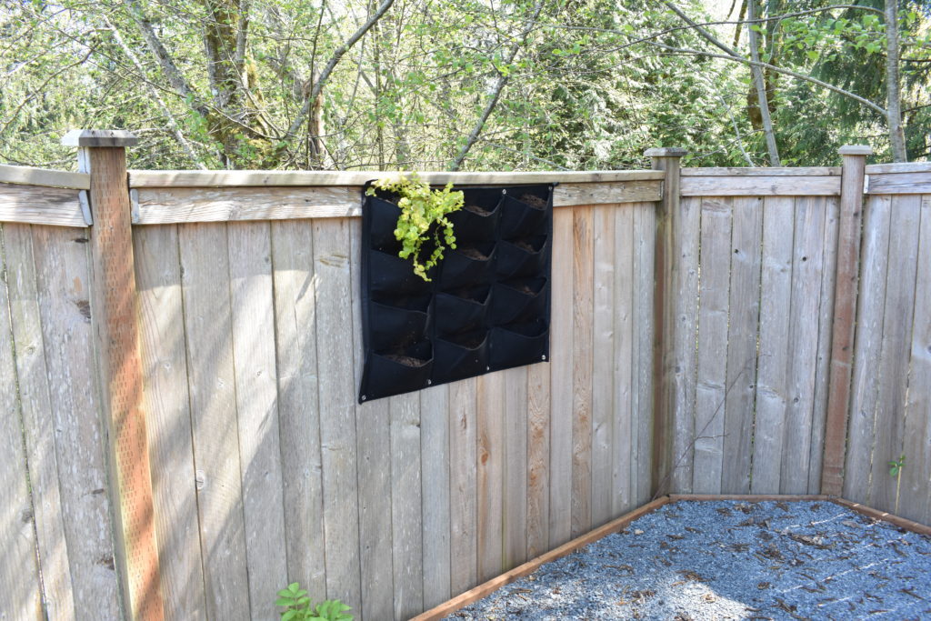 photo of felt vertical garden planter with one plant