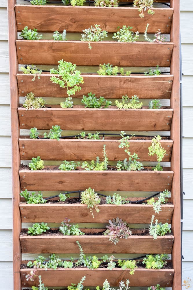 This simple and budget-friendly dining patio makeover transforms a small ugly concrete slab patio into a beautiful outdoor dining room. There's a vertical garden, string lights, an outdoor rug, and more!