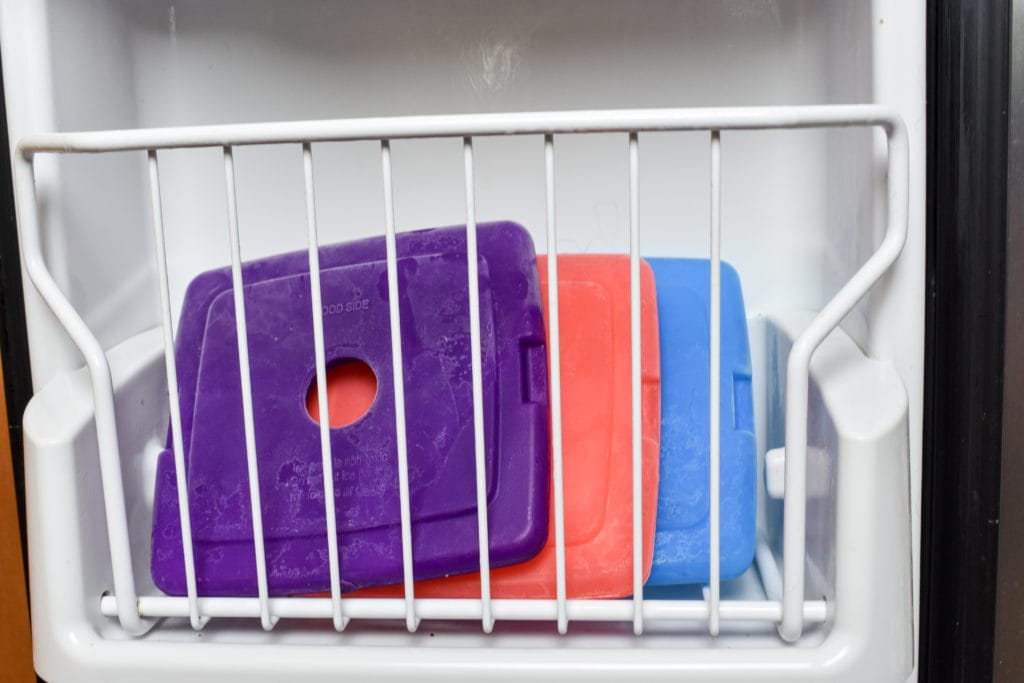 flat ice packs in freezer door