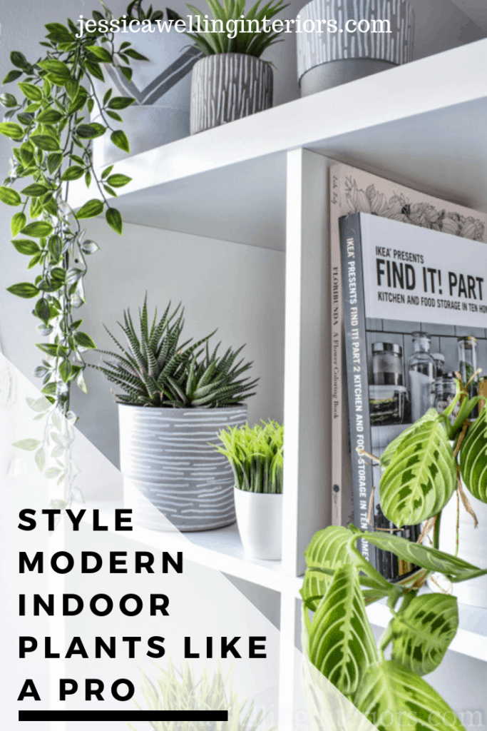 Modern houseplants are a must-have! Learn to style indoor plants like a pro with these 6 simple tips on pots, placement and plant choice.