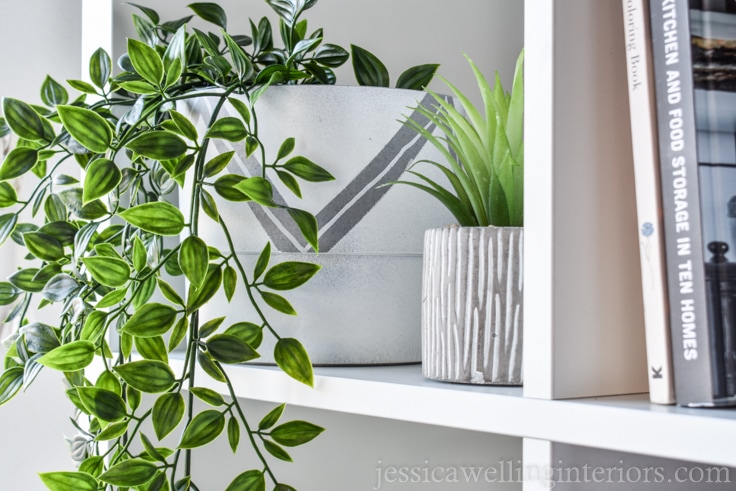 image of modern indoor plant pot on the bookshelf