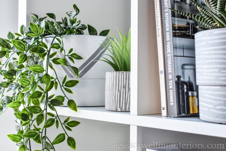 Modern houseplants are a must-have! Learn to style indoor plants like a pro with these 6 simple tips on pots, placement and plant choice.