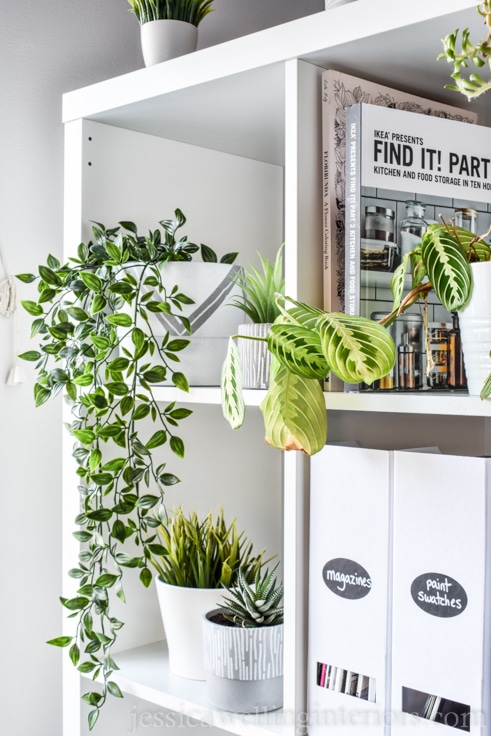 Modern houseplants are a must-have! Learn to style indoor plants like a pro with these 6 simple tips on pots, placement and plant choice.