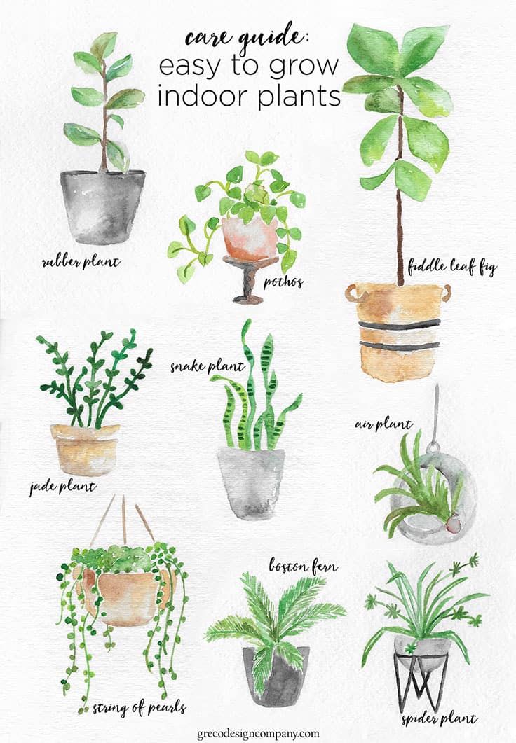 How to Style Indoor Plants: 6 Designer Tips - Jessica Welling Interiors