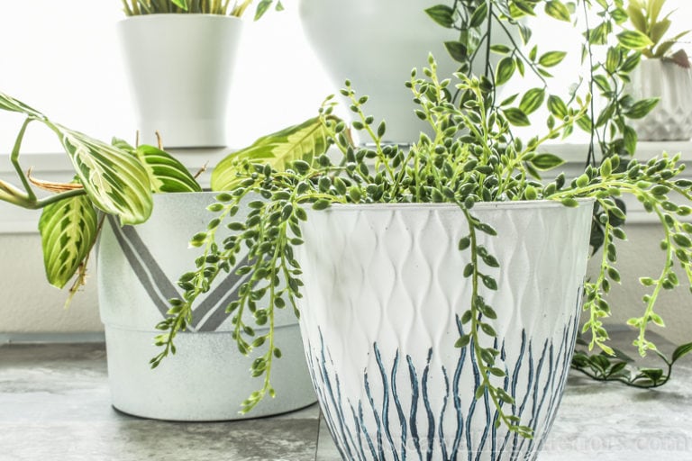 Turn Dollar Store Pots into Modern Indoor Planters!