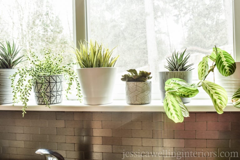 How to Style Indoor Plants: 6 Designer Tips - Jessica Welling Interiors