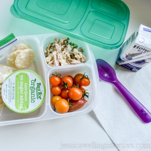 child's bento-style lunch container packed with applesauce cup, cheery tomatoes, and tuna salad