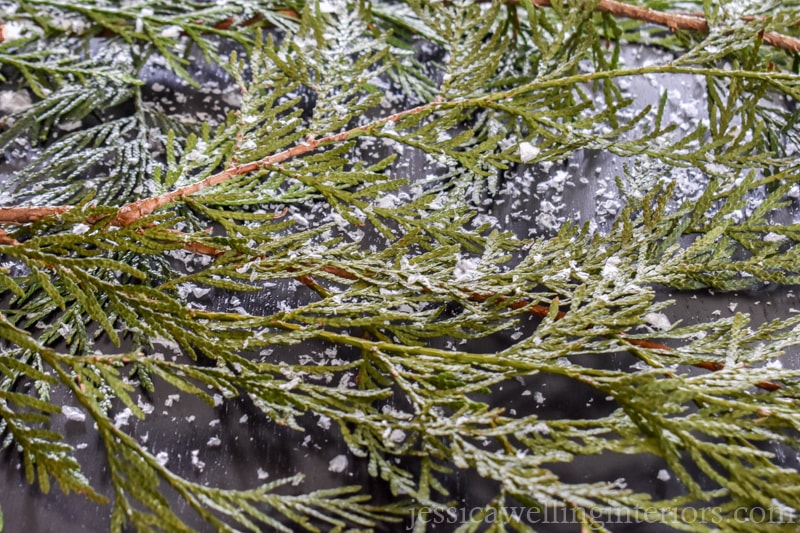 close-up of cedar branckes with fake snow