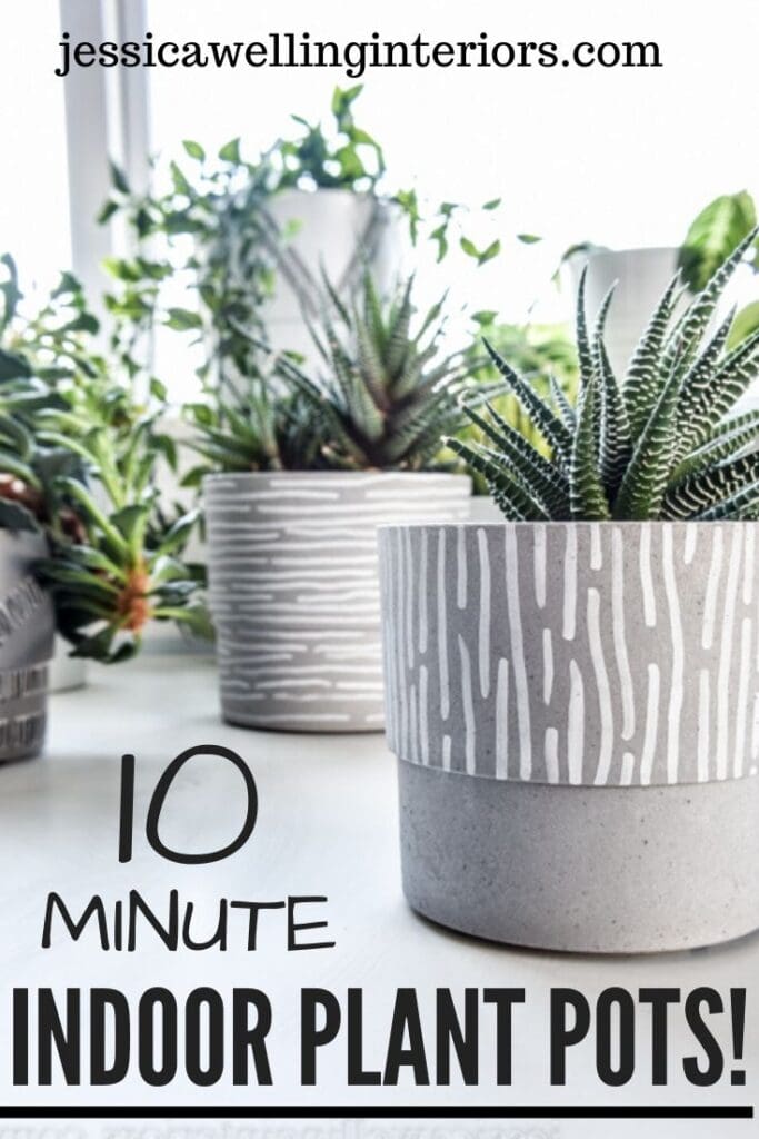 10-Minute Indoor Plant Pots: collection of inoor plants in grey pots with white line patterns