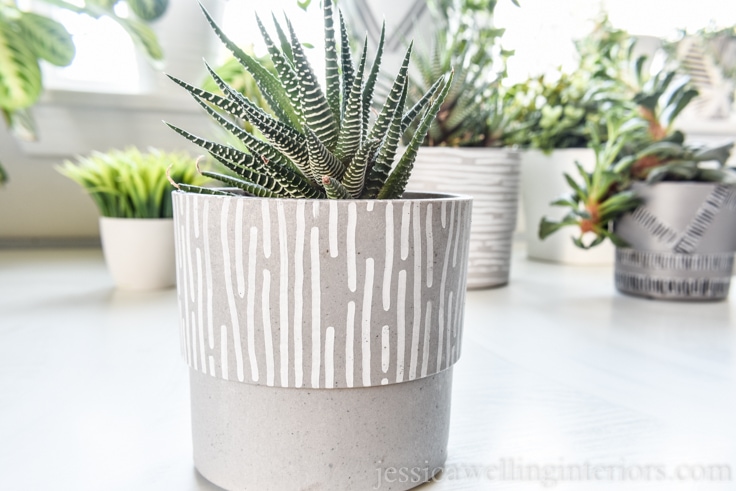 finished modern indoor plant pot with white vertical line pattern with a spiky succulent planted in it