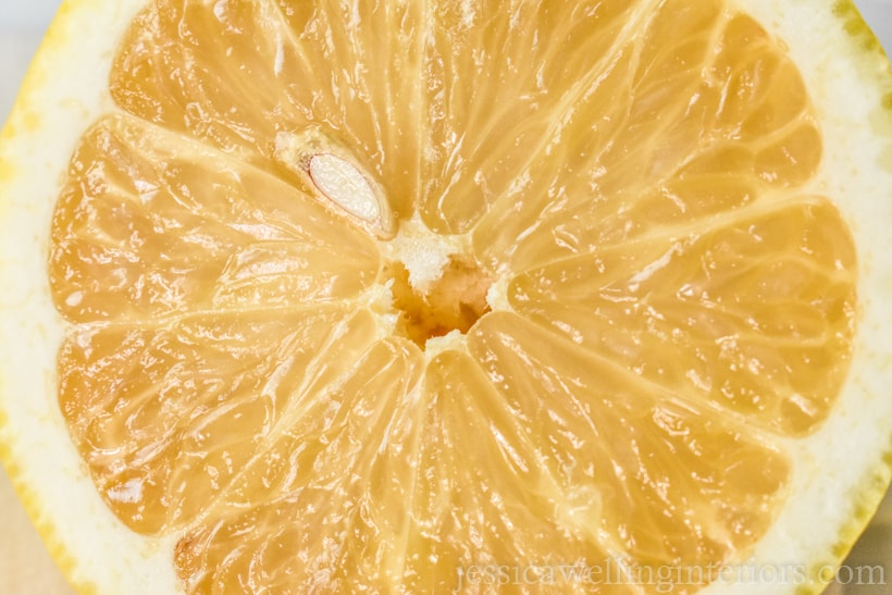 close-up of sliced lemon