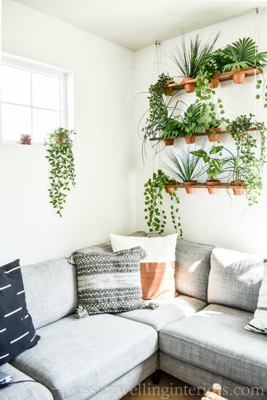 indoor plants living room