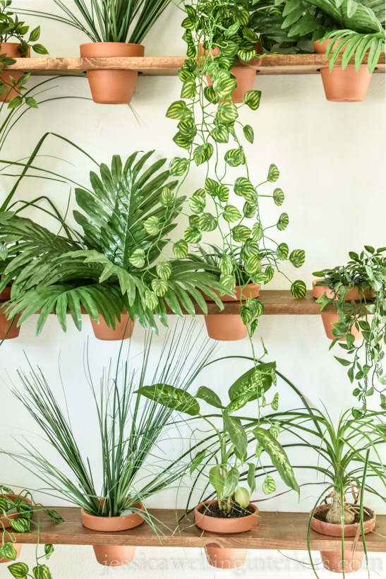 close-up of indoor DIY vertical garden with indoor hanging plants and terra cotta pots