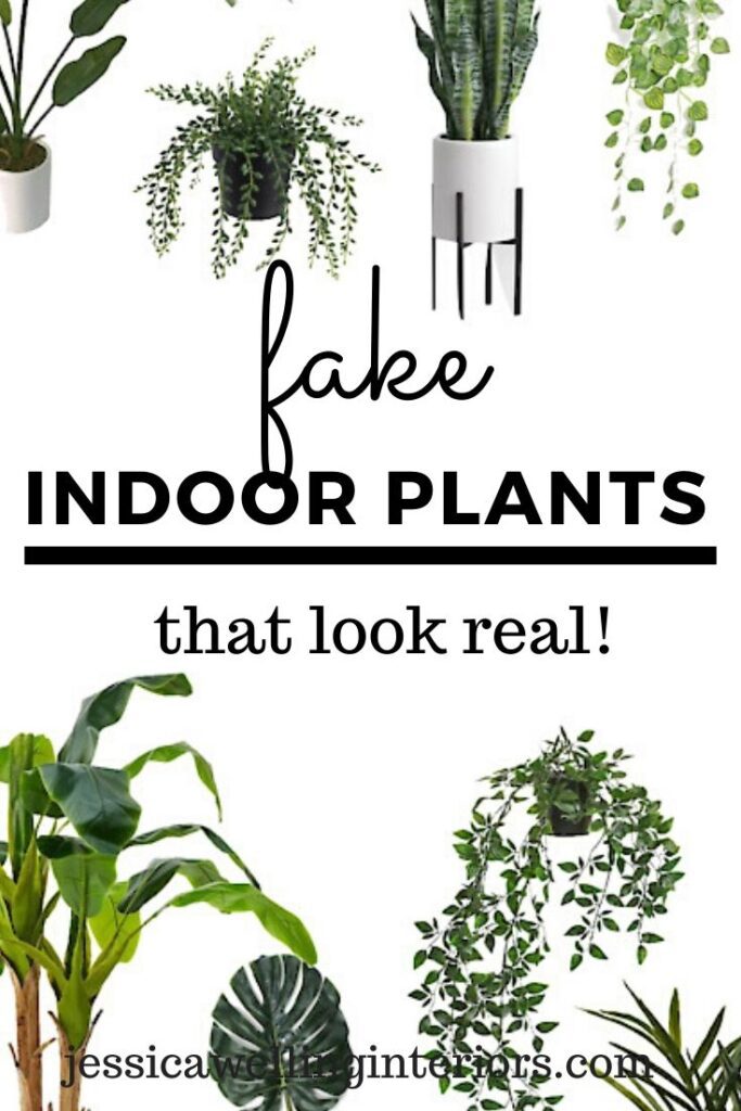 The Drawbacks of Fake Plants and Why to Grow Real Houseplants