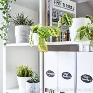 white bookshelf with several different indoor plants on the shelves