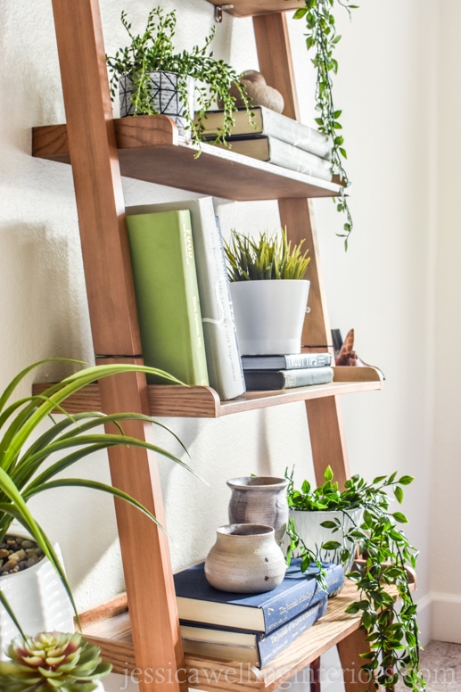 ladder shelf decorated with books and artificial hanging plants