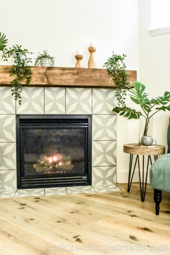 modern fireplace with several different realistic artificial plants on the mantel and an end table