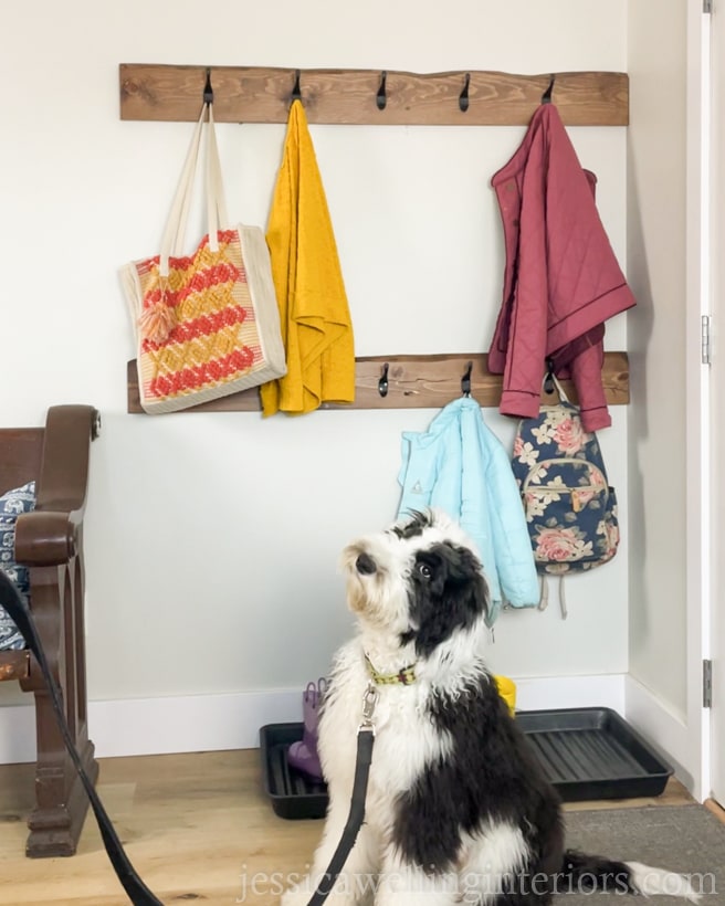 2 wall-mounted coat racks in the background with a black and white sheepadoodle puppy on a leash in the foreground