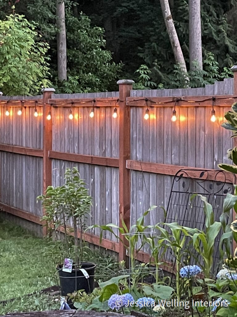 backyard lit with glowing string lights hung on a fence