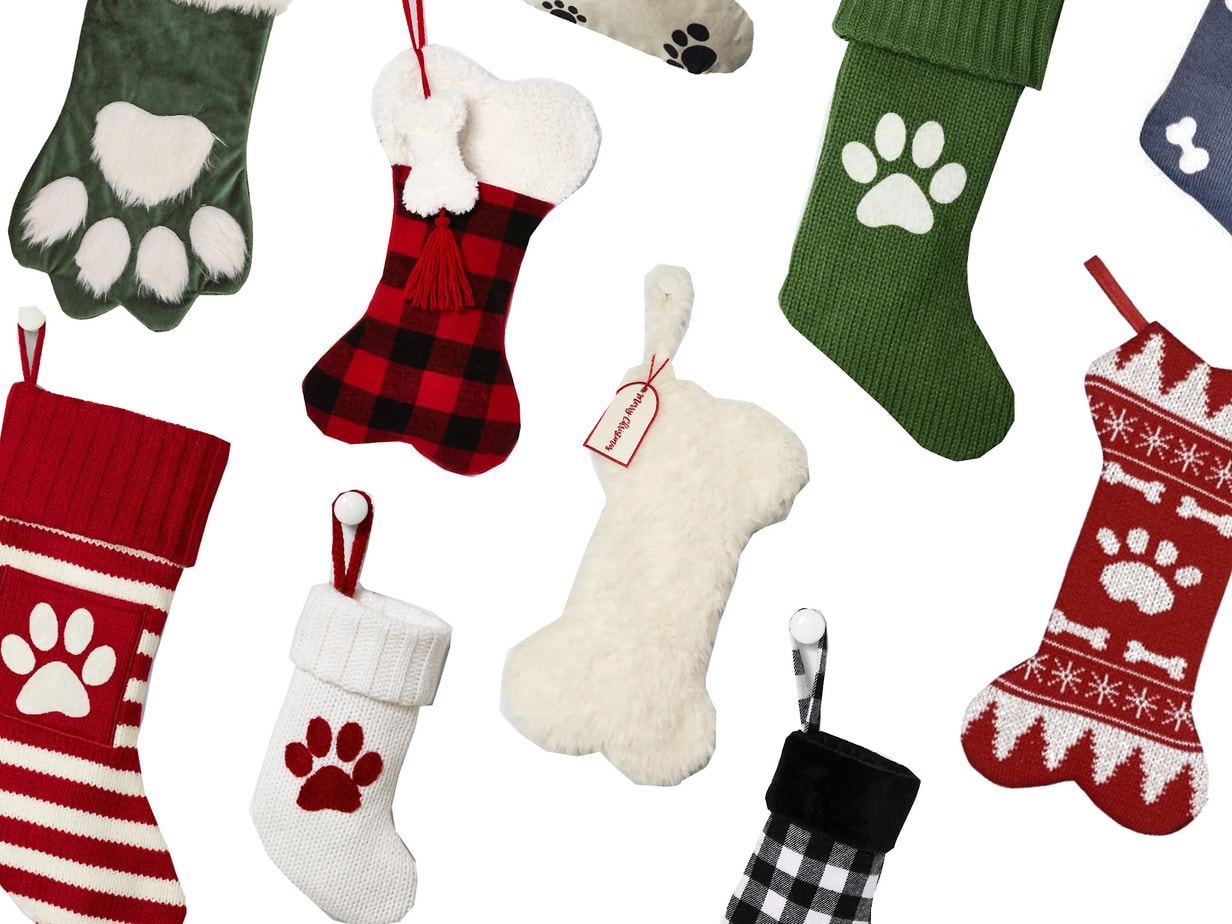 Festive Wonderland Soft Dog Pet White Christmas Pet Stocking Tartan Paw Print 