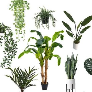 collage of artificial plants