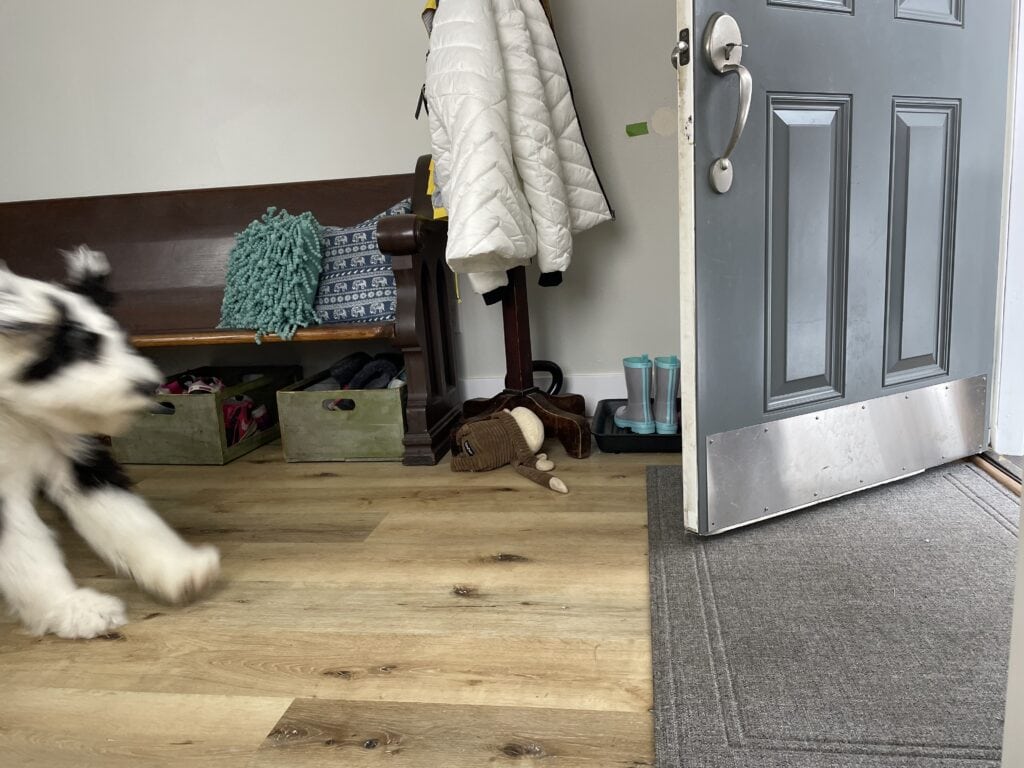 entryway with a puppy running toward the front door