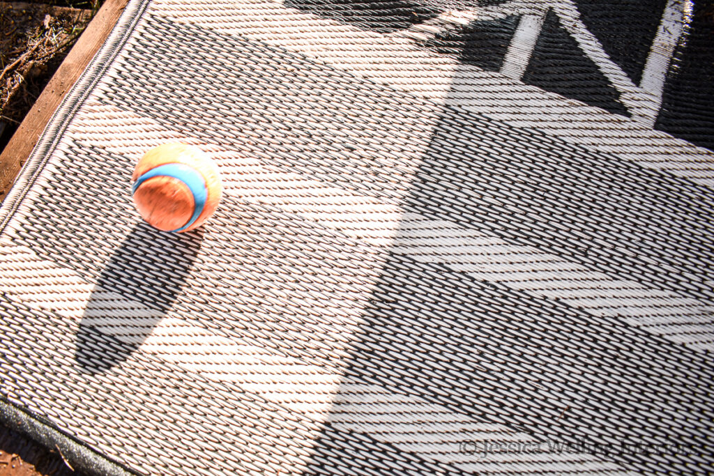 clean woven plastic outdoor rug with a dog's ball sitting on it