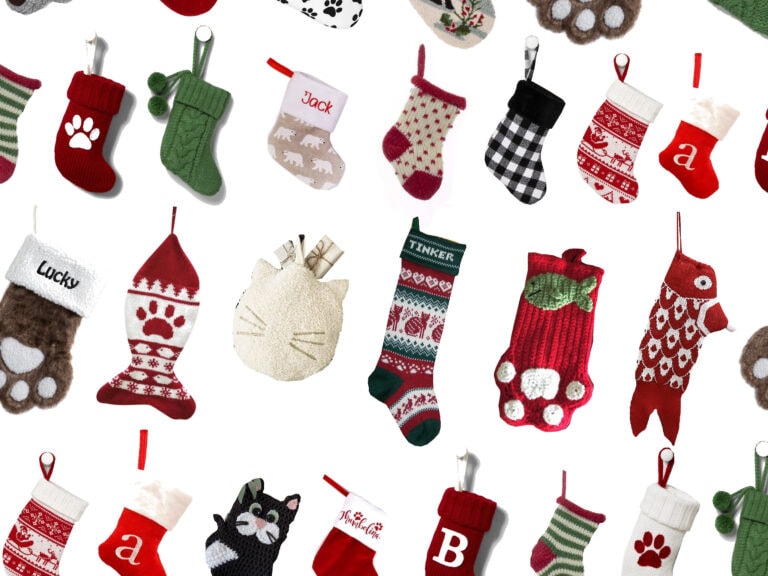The Best Cat Christmas Stockings (2024)