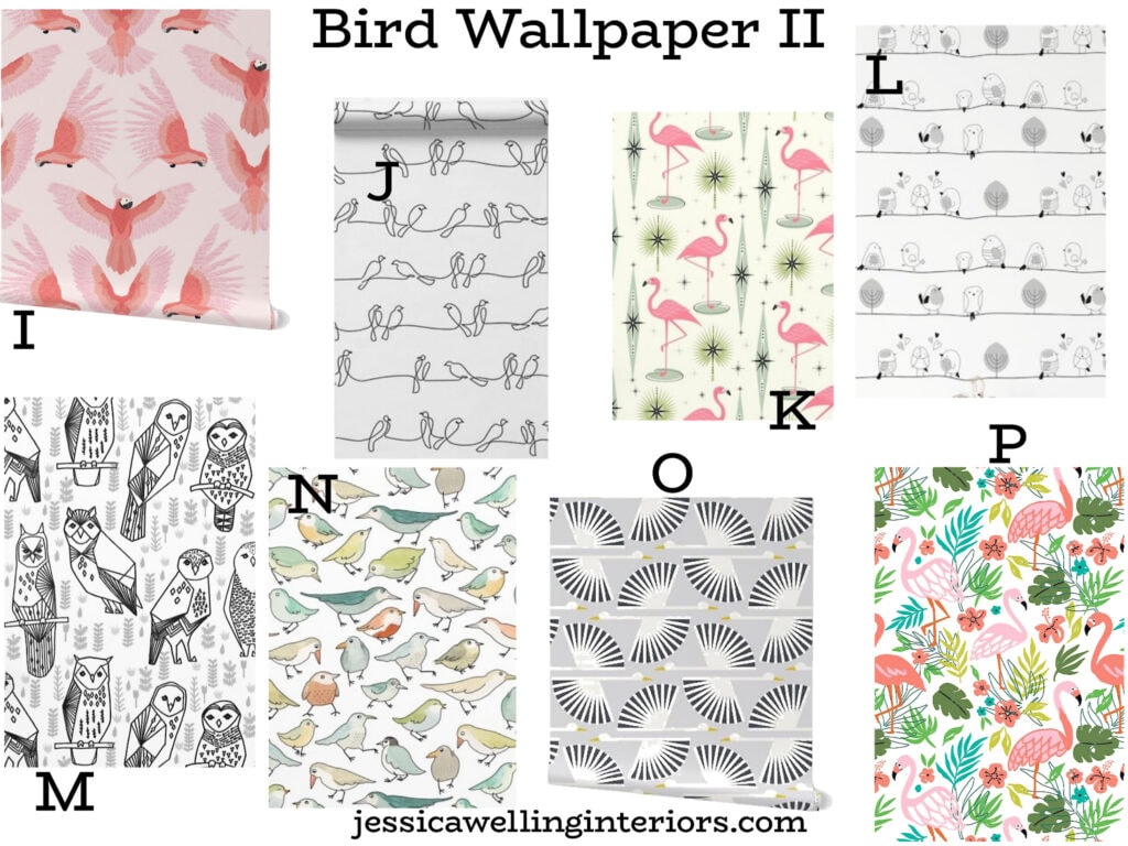 Bird Wallpaper II: collection of 8 bird print wallpaper ideas for a modern girls room with flamingos, cranes, owls, parrots, etc.