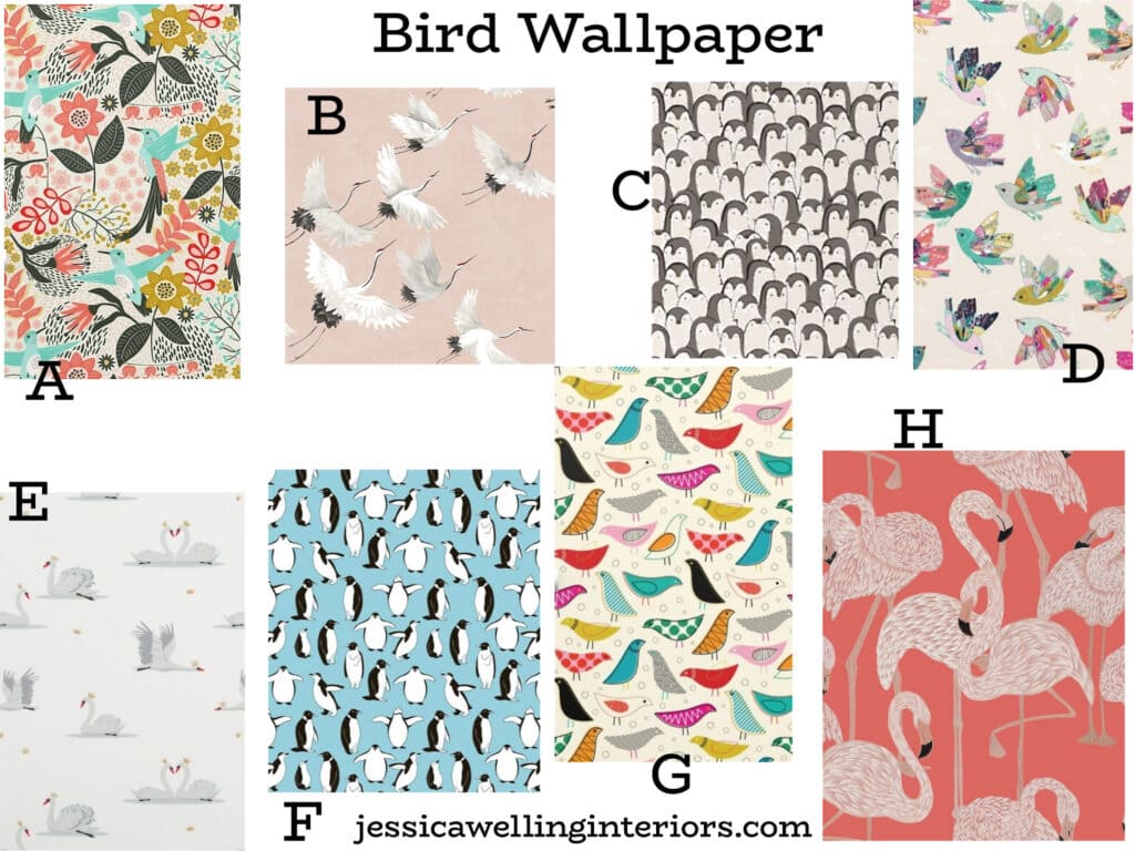 Bird Wallpaper: collage of modern Boho bird wallpaper ideas for girls' rooms with flamingos, penguins, cranes, swans, swallows, etc.