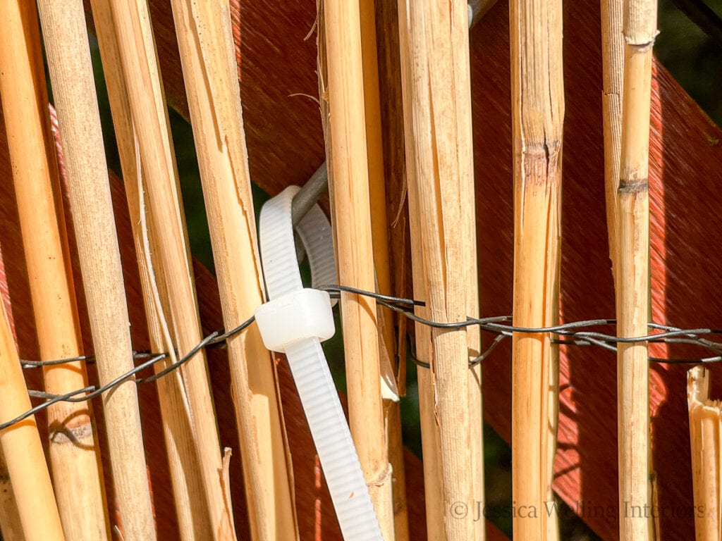 close-up of a cable tie securing a bamboo privacy panel to a chainlink fence