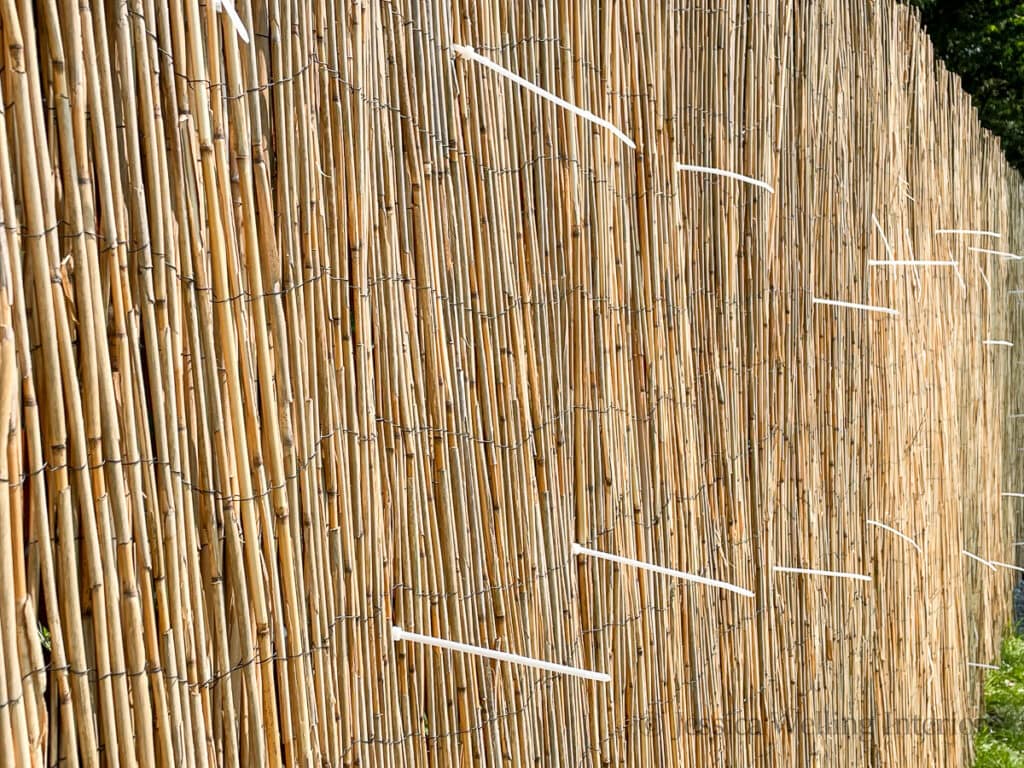 bamboo chain-link fence cover with cable tie ends sticking out
