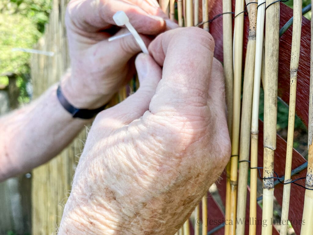 close-up of hands attaching bamboo reed screen to a chain link fence with a cable tie