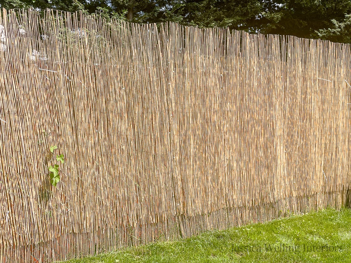 Bamboo Chain-Link Fence Cover Tutorial - Jessica Welling Interiors