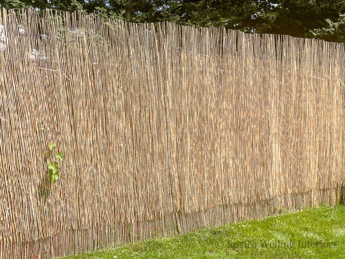 chain-link fence covered with bamboo reed screens
