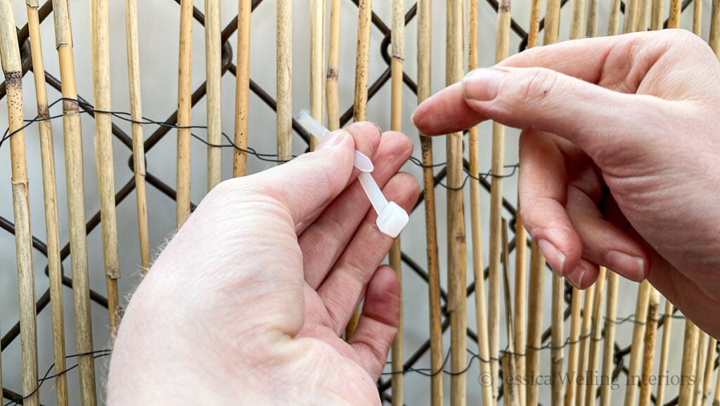 close-up of hands using a zip tie to secure bamboo to a chain-link fence.