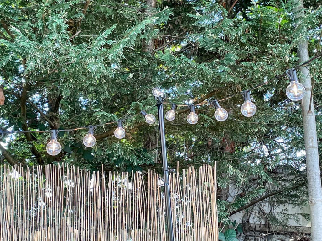 50 ft G40 string lights from Amazon hanging in a backyard