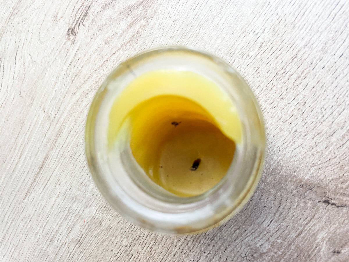 How to Make Candles Smell Stronger 6 Tips For Great Scent Throw