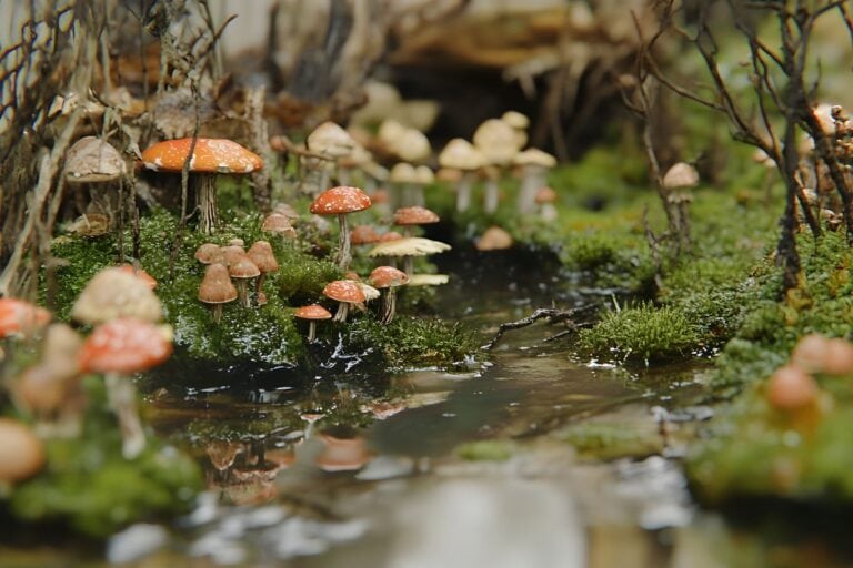 Fairy Garden Ideas To Turn Any Corner Into A Miniature World
