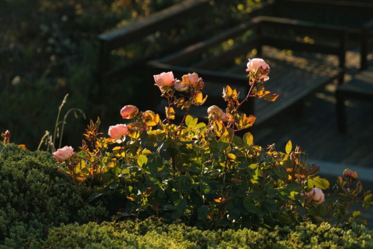 15 Small Garden Design Ideas To Maximize Every Square Inch